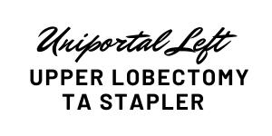 uniportal left Upper Lobectomy TA stapler