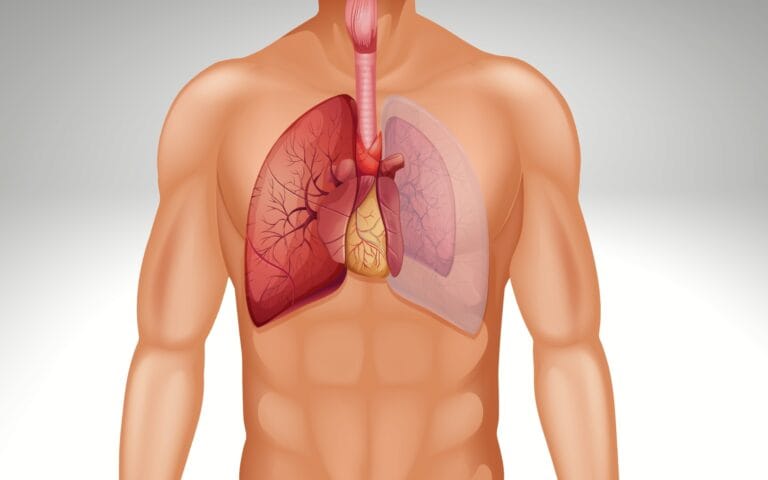 The Main Causes of a Collapsed Lung Explained