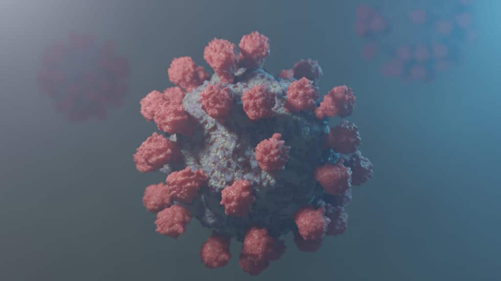 Understanding Your Immune System and Lung Cancer